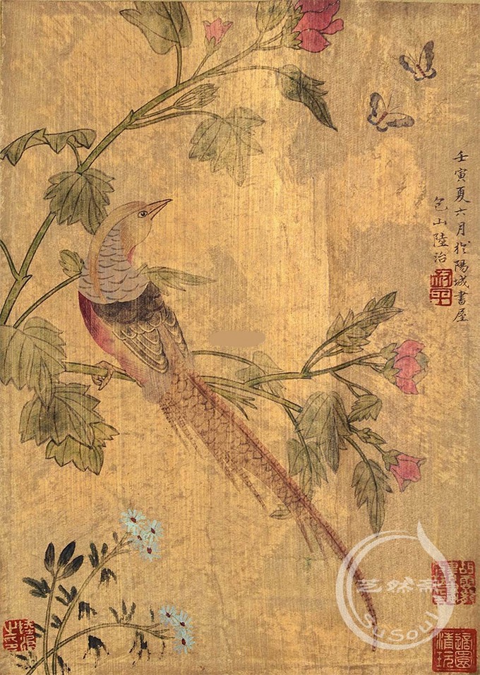 陆治芙蓉锦鸡图